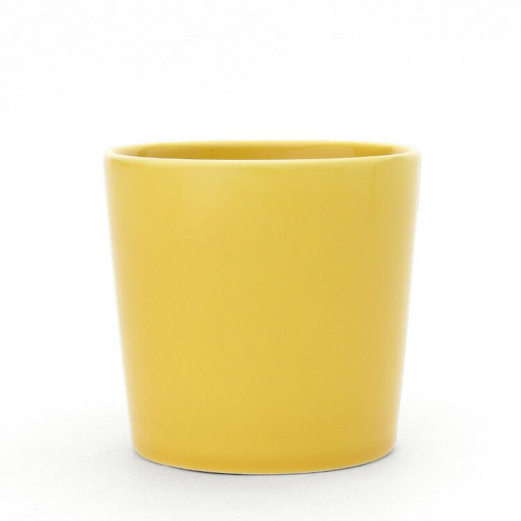 イッタラ（iittala） ティーマ/Teema マグカップ 300ml ハニー | ideale