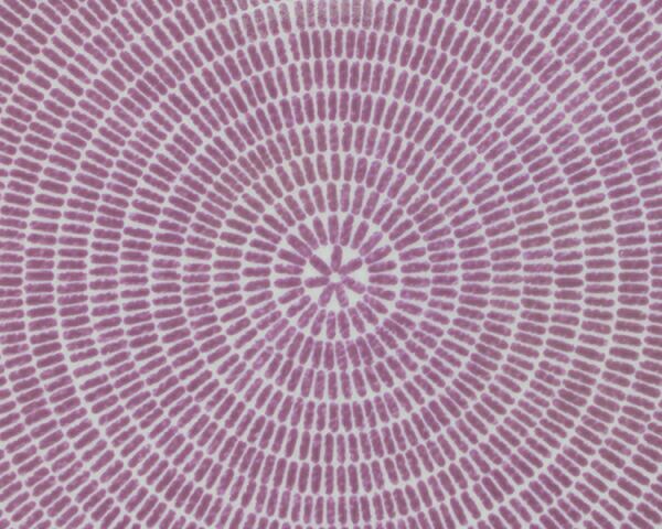 アラビア（ARABIA） アベック/24h Avec プレート 26cm パープル