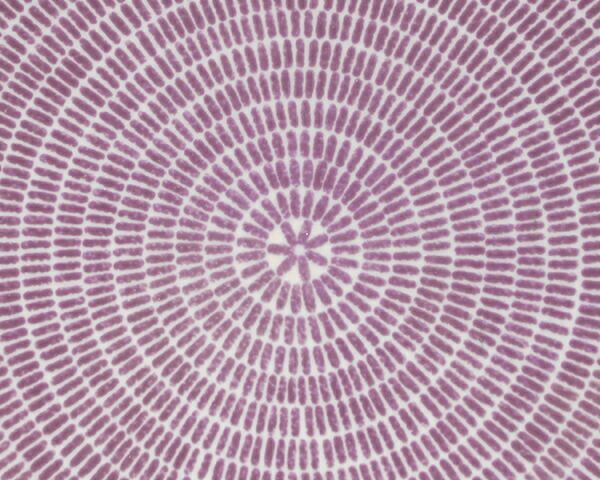 アラビア（ARABIA） アベック/24h Avec プレート 20cm パープル