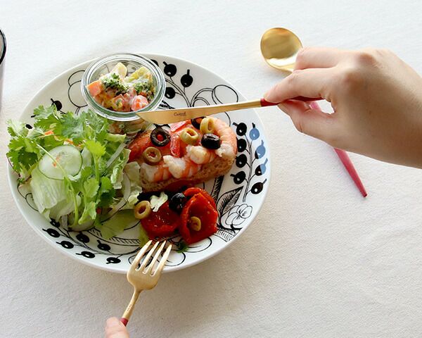 クチポール（Cutipol） ゴア/GOA デザートナイフ レッドマットゴールド