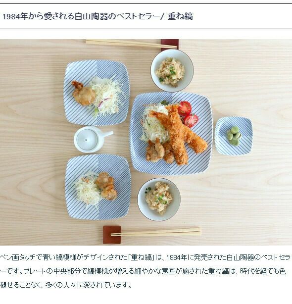 白山陶器 反角中皿 16.5cm ホワイト/ブルー