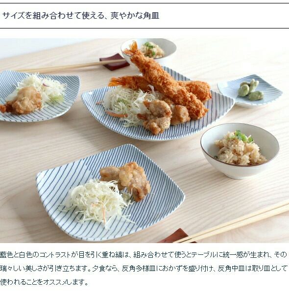 白山陶器 反角中皿 16.5cm ホワイト/ブルー