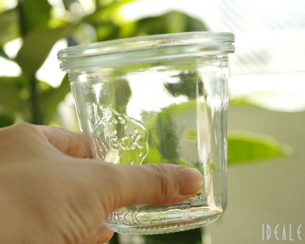 ウェック（WECK） モールド/Mold シェイプ ガラスキャニスター 290ml 直径Mサイズ