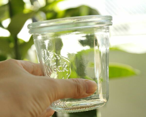 ウェック（WECK） モールド/Mold シェイプ ガラスキャニスター 290ml 直径Mサイズ 6個セット