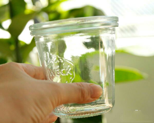 ウェック（WECK） モールド/Mold プラスティックカバー付モールドシェイプ 290mlx6個セット