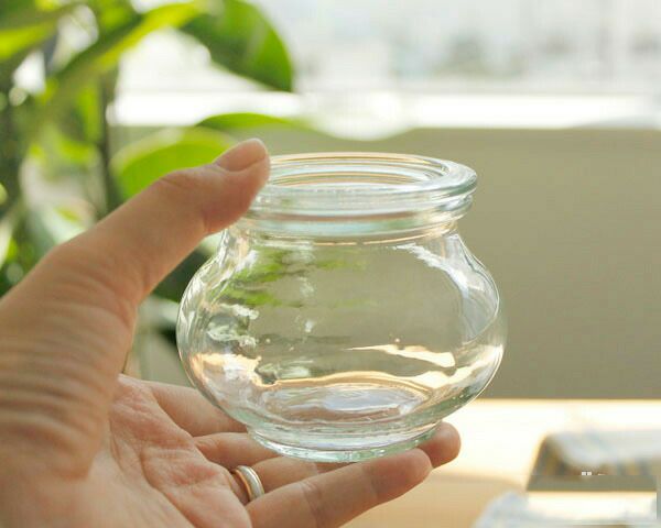 ウェック（WECK） デコ/Deco プラスティックカバー付デコシェイプ200mlx6個セット