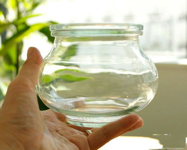 ウェック（WECK） デコ/Deco プラスティックカバー付デコシェイプ 550mlx6個セット