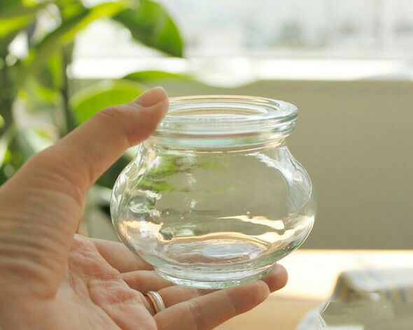 ウェック（WECK） デコ/Deco パッキン&クリップ付デコシェイプ 200mlx6個セット