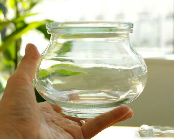 ウェック（WECK） デコ/Deco パッキン&クリップ付デコシェイプ 550mlx6個セット