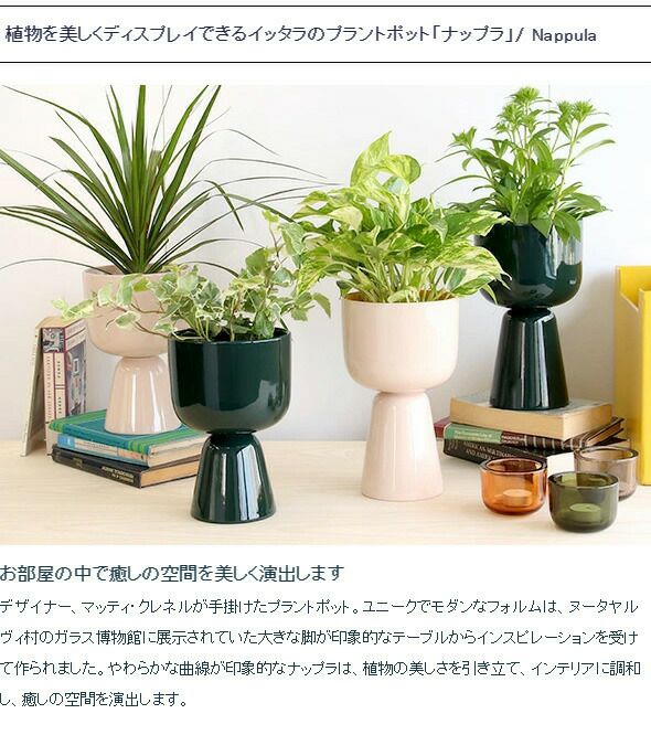 イッタラ（iittala） ナップラ/NAPPULA プラントポット 230x155mm