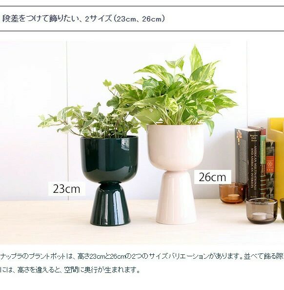 イッタラ（iittala） ナップラ/NAPPULA プラントポット 230x155mm