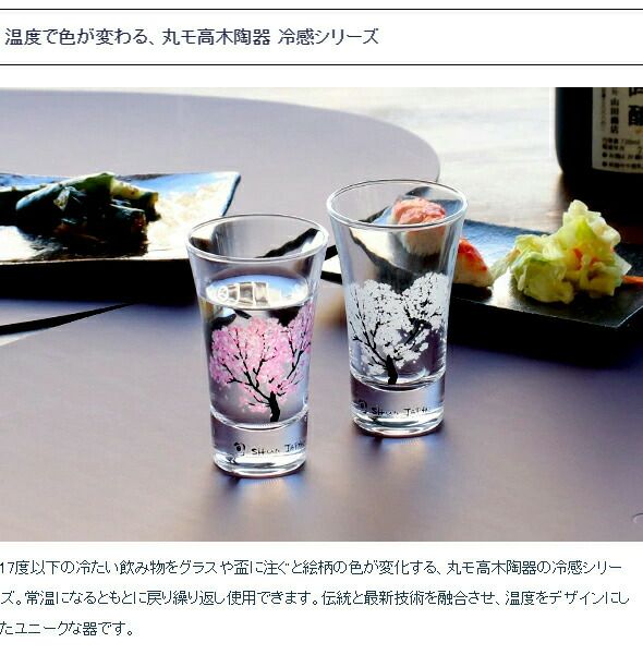 丸モ高木陶器 冷感 平盃 4点セット ホワイト