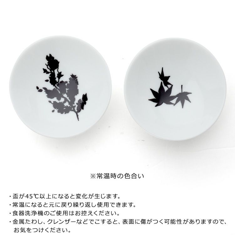 丸モ高木陶器 温感 平盃 ペア ホワイト