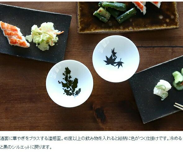 丸モ高木陶器 温感 平盃 ペア ホワイト