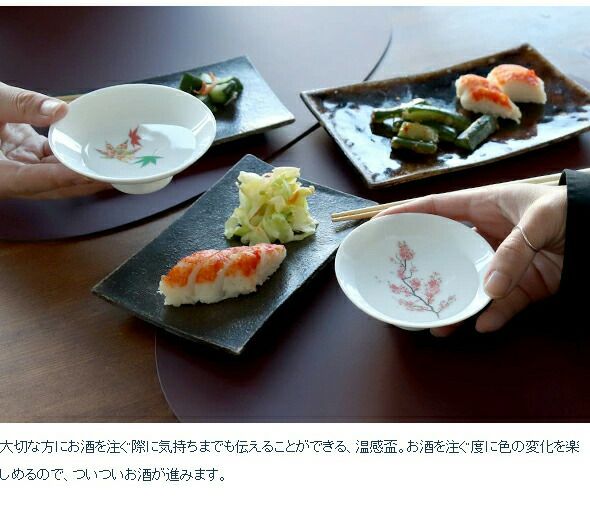 丸モ高木陶器 温感 平盃 ペア ホワイト