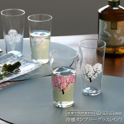 丸モ高木陶器 冷感 タンブラーグラス ペア