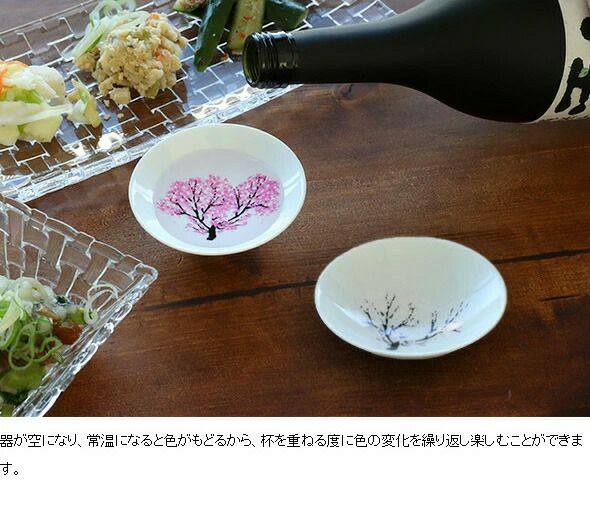 丸モ高木陶器 冷感 桜舞富士山 宝永グラス