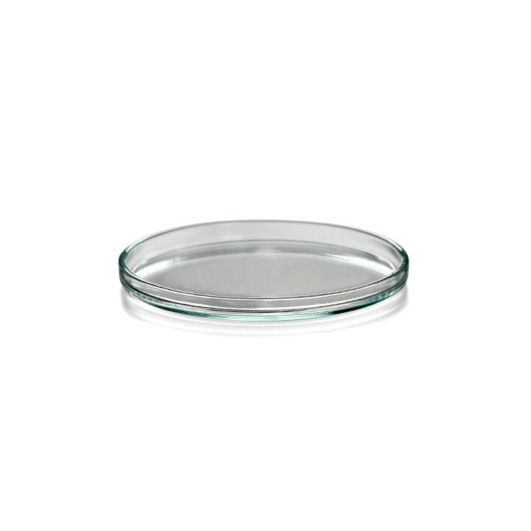 ボロシル（BOROSIL） グラスリド/GLASS LID グラスリド 56
