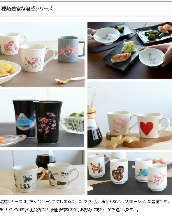 丸モ高木陶器 温感カップ（中）