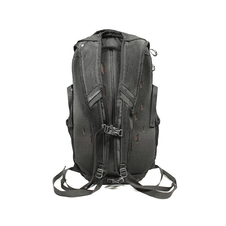 グレゴリー（GREGORY） ナノ/NANO 20 リュック