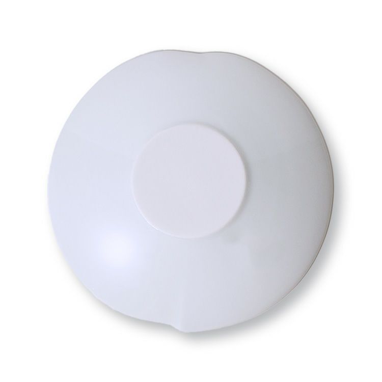 眞窯 プレート 21cm 皿