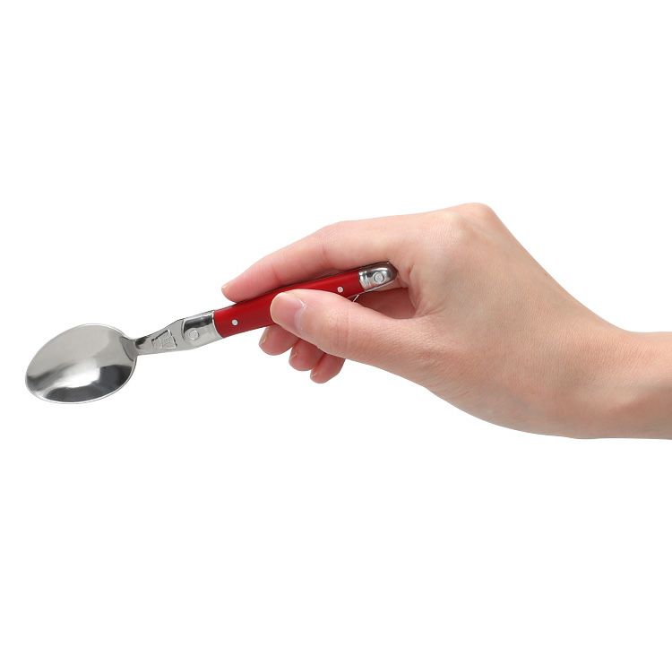 ジャンデュボ（Jean Dubost） ライヨール/Laguiole ティースプーン