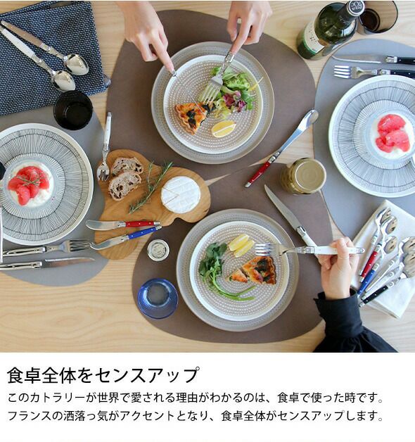 ジャンデュボ（Jean Dubost） ライヨール/Laguiole ミニチーズナイフ