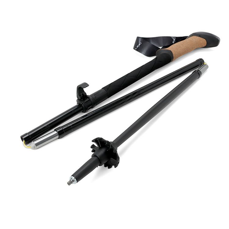 レキ（LEKI） BLACK SERIES FX CARBON　トレッキングポール ペア ブラック