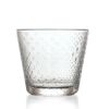 イッタラ（iittala） ツンドラ/Tundra タンブラー 290ml