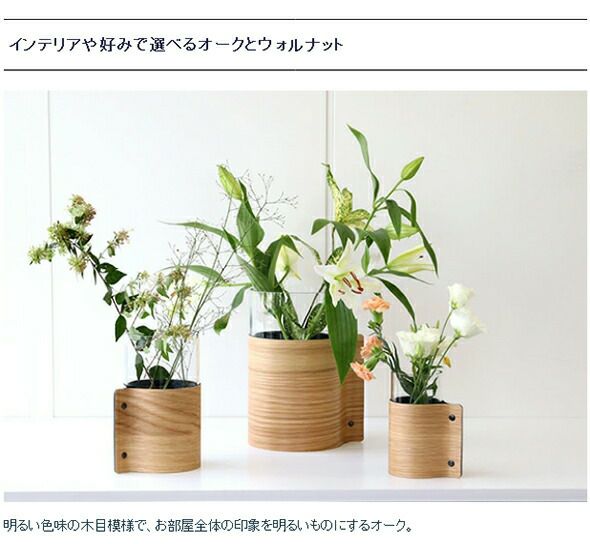 ★★★箱だけ難あり★★★ リンド ディーエヌーエー（LIND DNA） ウッドベース H25cm [hr]