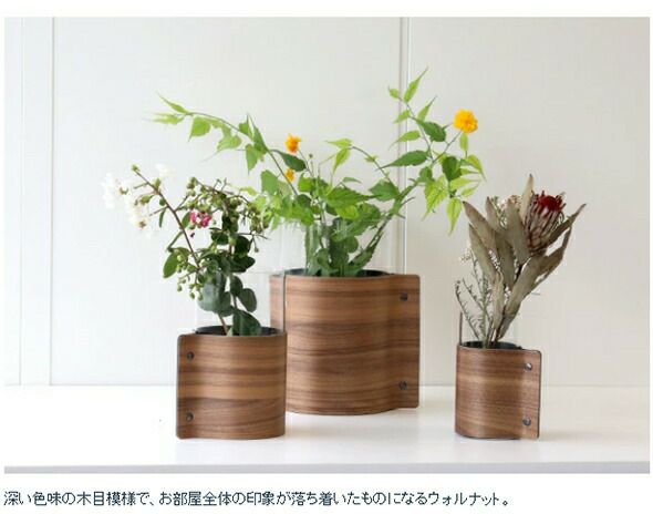 ★★★箱だけ難あり★★★ リンド ディーエヌーエー（LIND DNA） ウッドベース H25cm [hr]