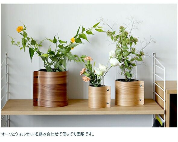 ★★★箱だけ難あり★★★ リンド ディーエヌーエー（LIND DNA） ウッドベース H25cm [hr]